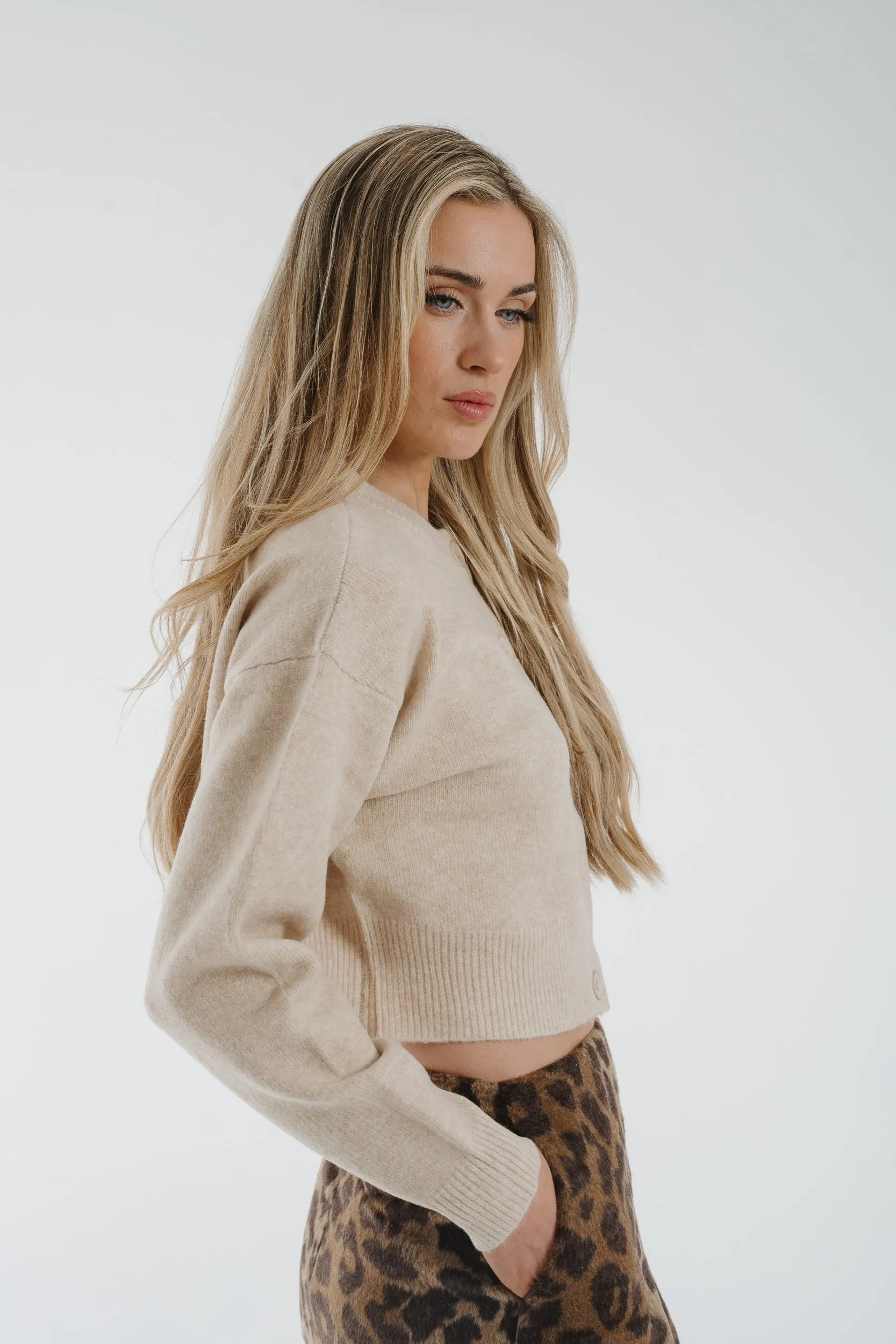 Ally Round Neck Cardigan In Neutral