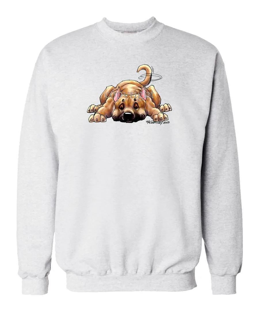 American Staffordshire Terrier - Rug Dog - Sweatshirt