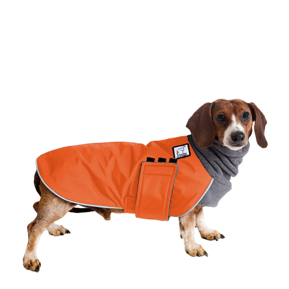 Dachshund Winter Coat