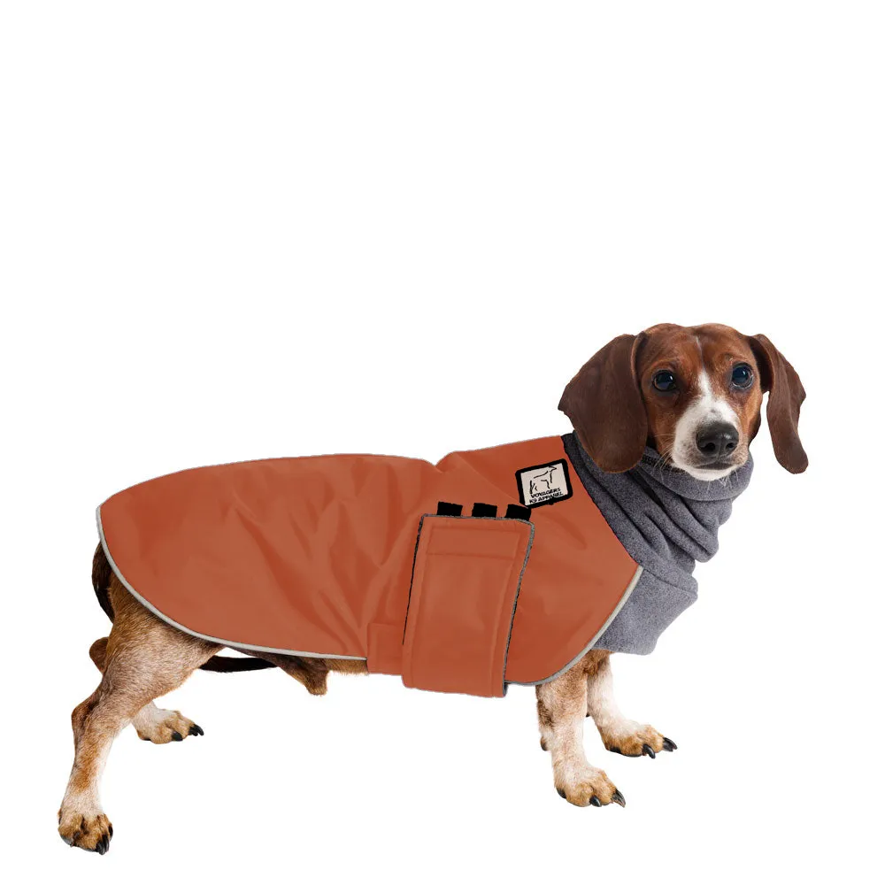 Dachshund Winter Coat