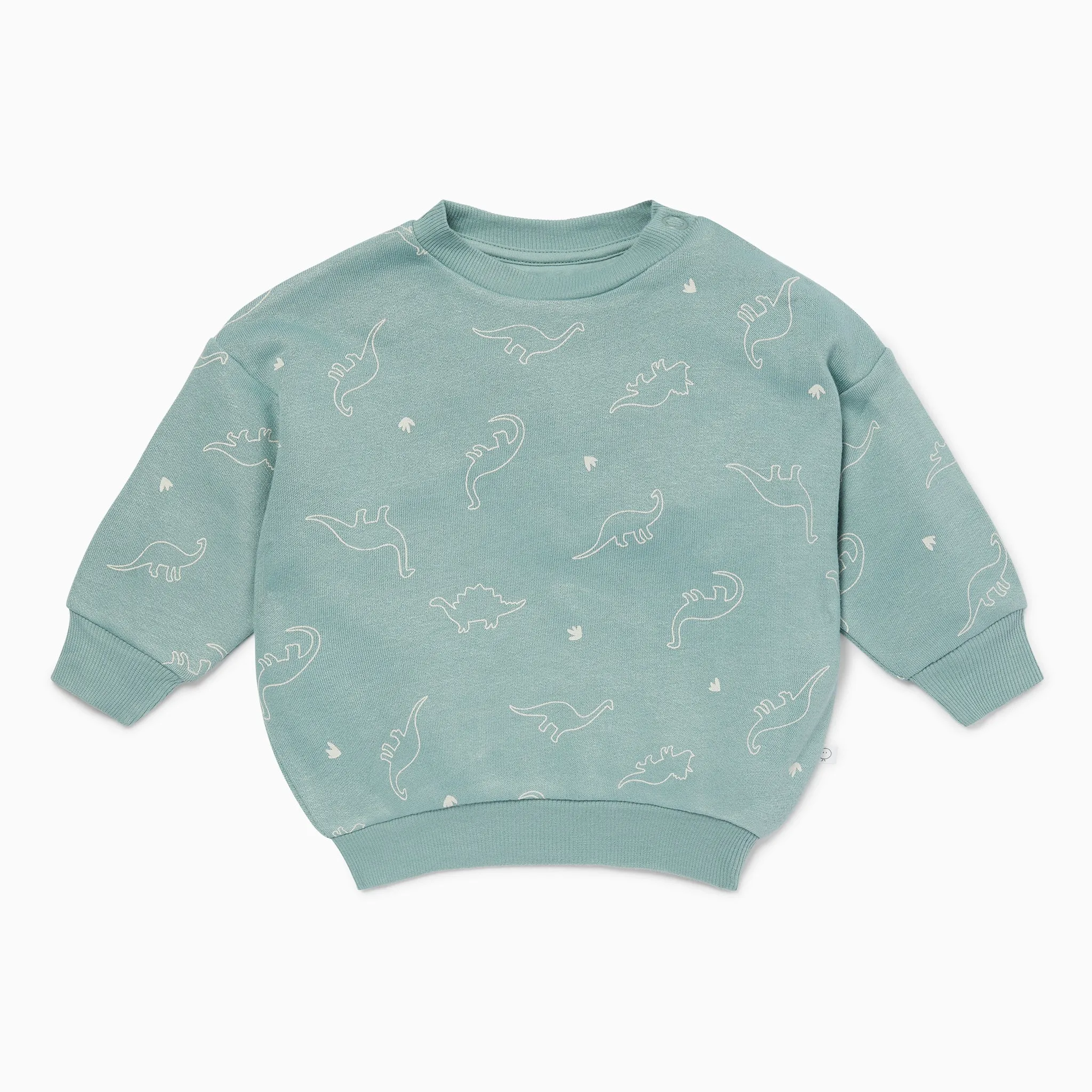 Dino Print Sweater