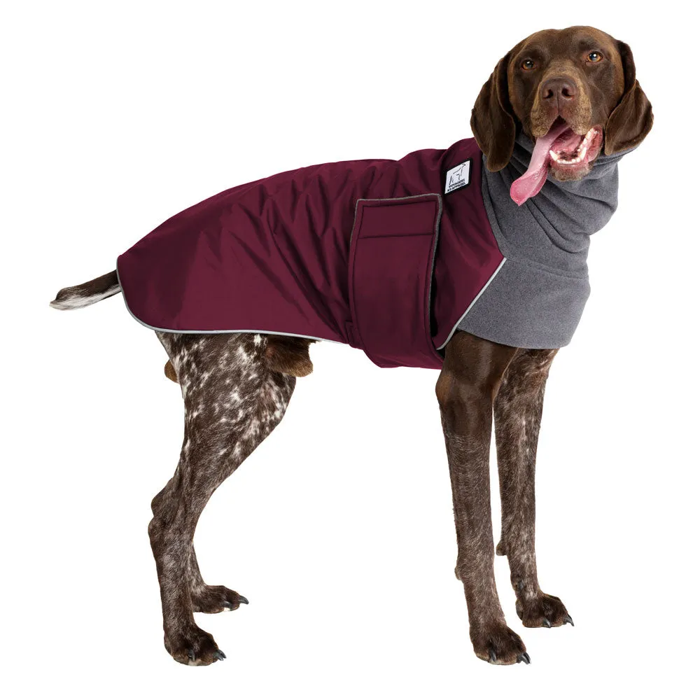 German Shorthaired Pointer Winter Coat