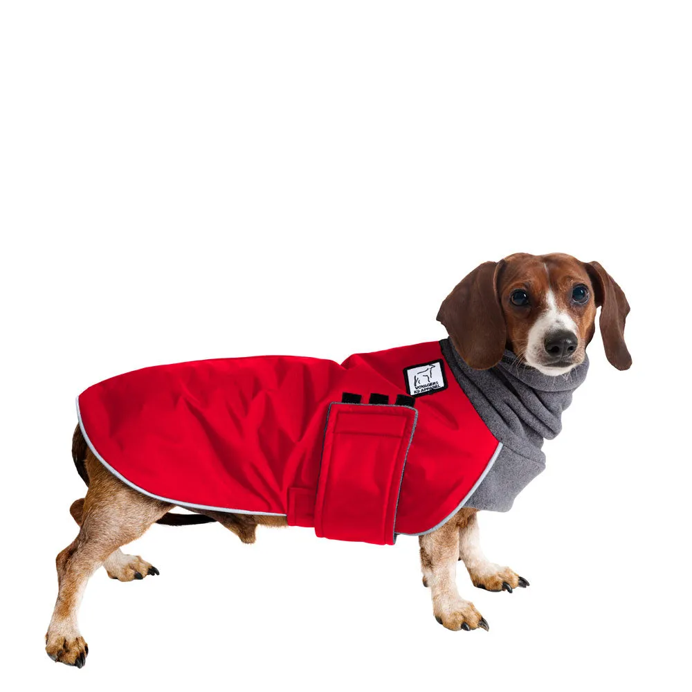 Miniature Dachshund Winter Coat