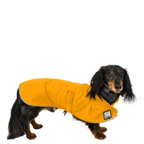 ReCoat ♻️ Dachshund Raincoat