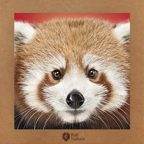 Red Panda Head T-Shirt Kids